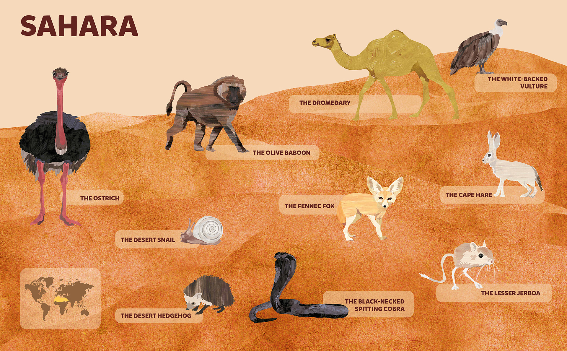 Animals – Sahara Desert on Behance