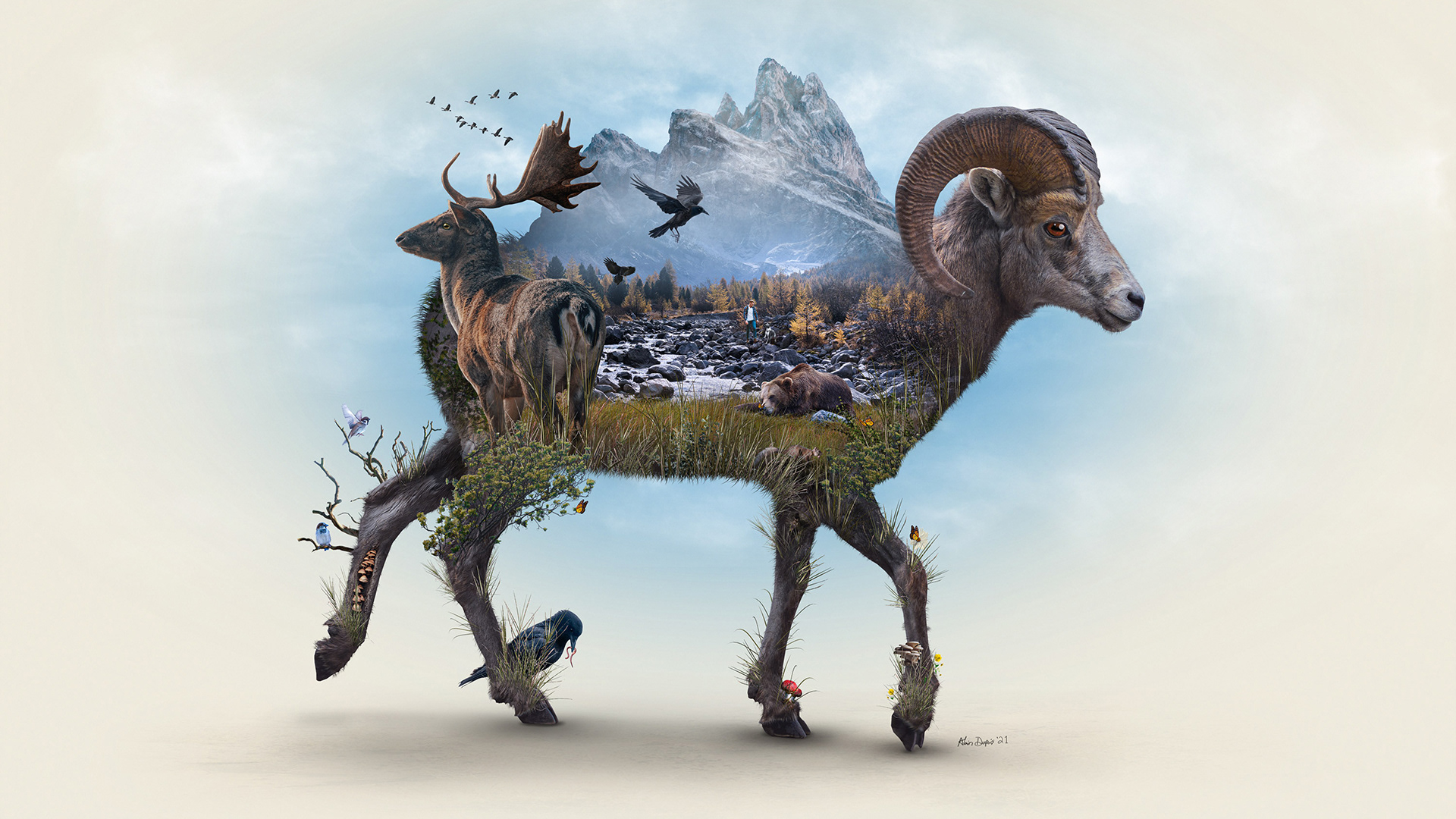 A surreal piece that focuses on animals found in the rocky mountains

