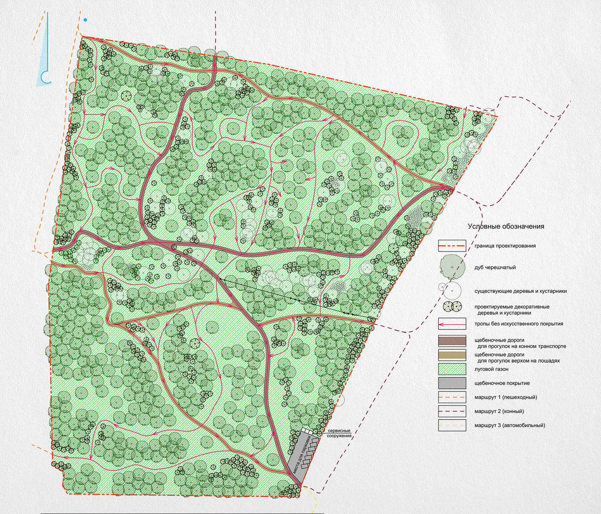 Схема лесопарка. Дорожно-тропиночная сеть лесопарка. Парк Сосенки карта Царицыно. Дорожно тропиночная сеть в парке генплан. План дорожно-тропиночной сети.