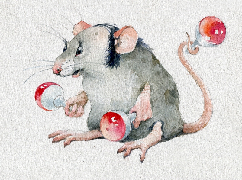 rat king on Behance