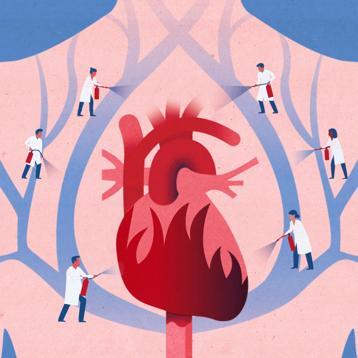 Heart Report. Illustration ©Kotryna Zukauskaite, Animation by Malin  Nyqvist, : Heart-Lung Foundation (Hjärt-Lungfonden)More at   | Behance
