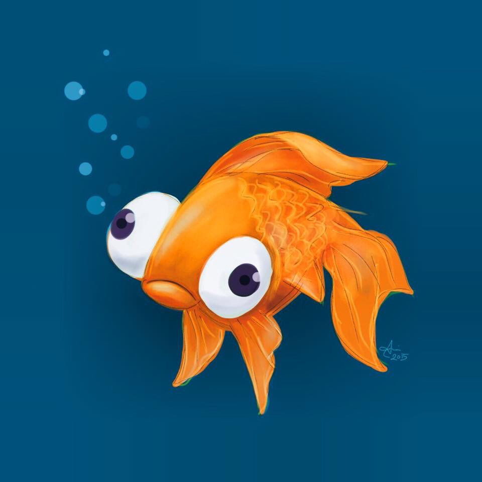 Fish Sketch. on Behance