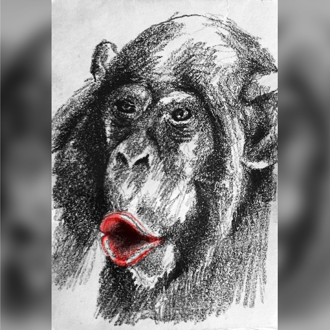 Monkey Drawing Tutorial - How to draw Monkey step by step