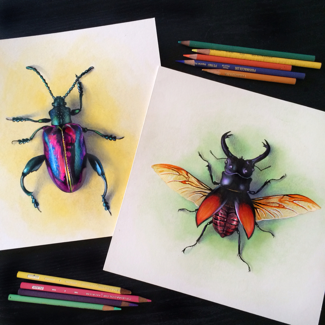 How to Draw Realistic Insects  Ran Art Blog