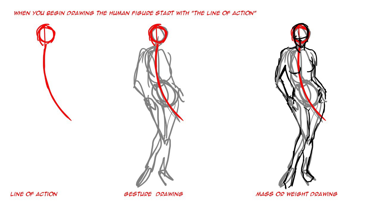 Online Lesson : 30min Figure Drawing / Learn Proportion and Poses