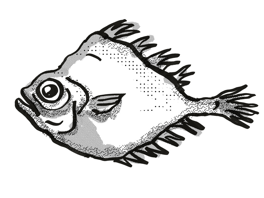 Fish Sketch. on Behance