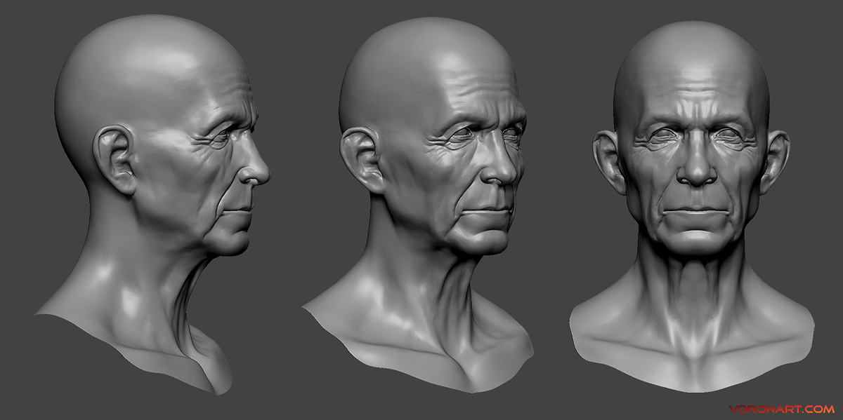 3D Heads Sculpting :: Behance