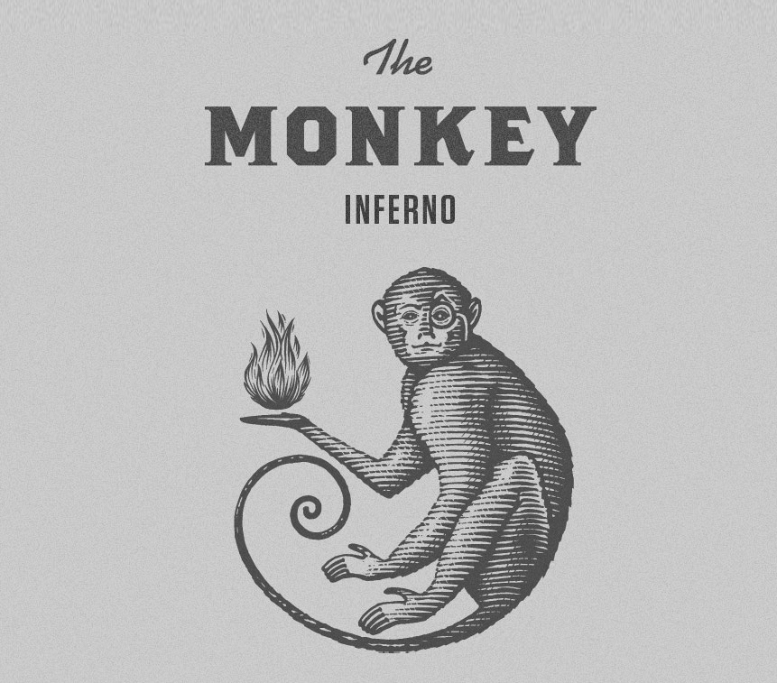 Fun Monkey Logo on Behance