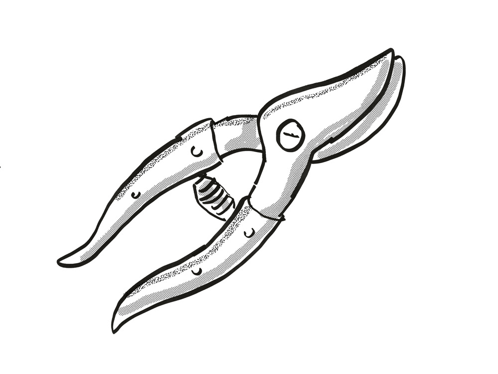 Retro cartoon style drawing of a Pruning shear also called hand pruners or  secateurs, a garden or gardening tool equipment on isolated white  background done in black and white | Behance