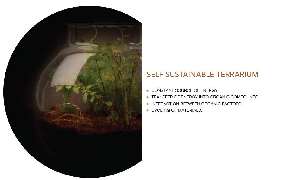 self-sustainable systems product design  experiment industrial design  NATURE STUDY biomematics Photography 