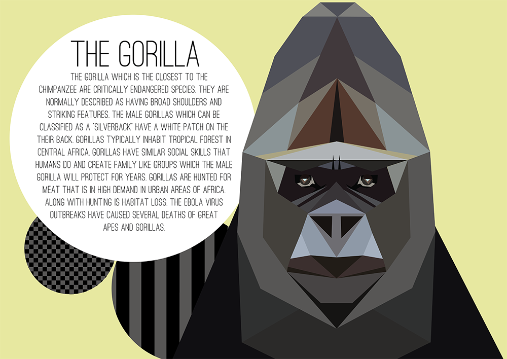 animals geometric geometry species WWF wildlife public service announcment Panda  tiger gorilla monkey Polar Bear vector infographic