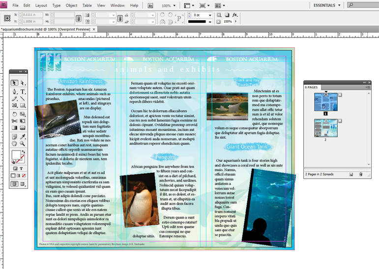 print brochure prepress aquarium animals Ocean sea fish shark penguin Turtle octopus seahorse