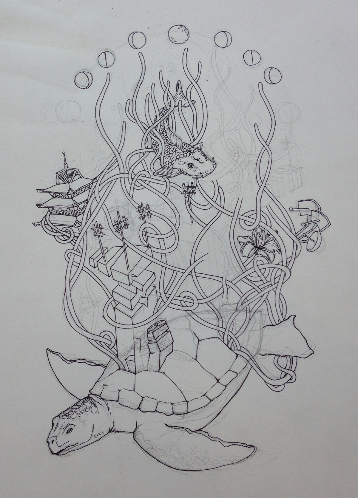 hand drawn Turtle illustrations photoshop trippy turtle shell koi Chinese Architecture cool