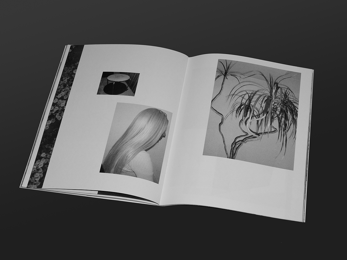 catalog photo design Layout magazine exhibition catalog
