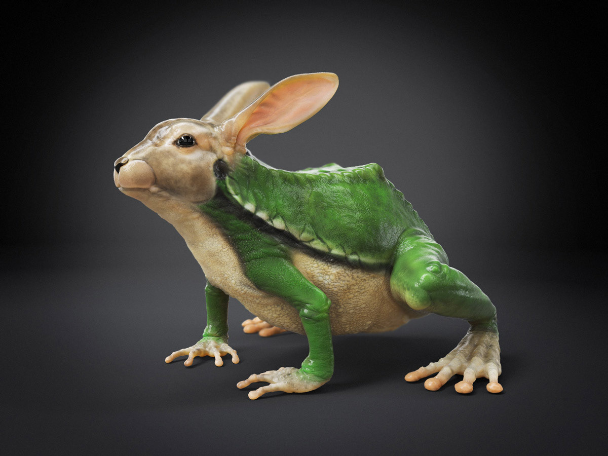 SAATCHI & SAATCHI X texture creatures animals 3D
