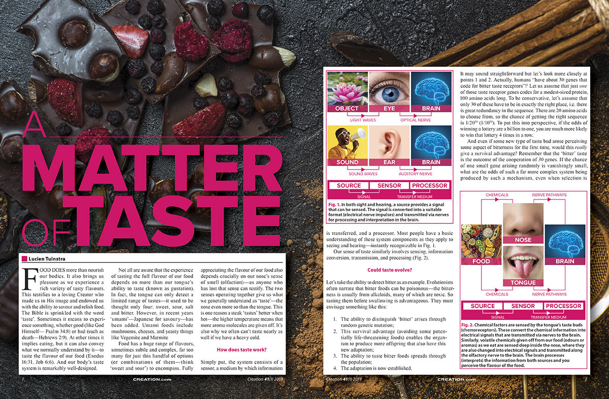 article design editorial graphic magazine magazine article design