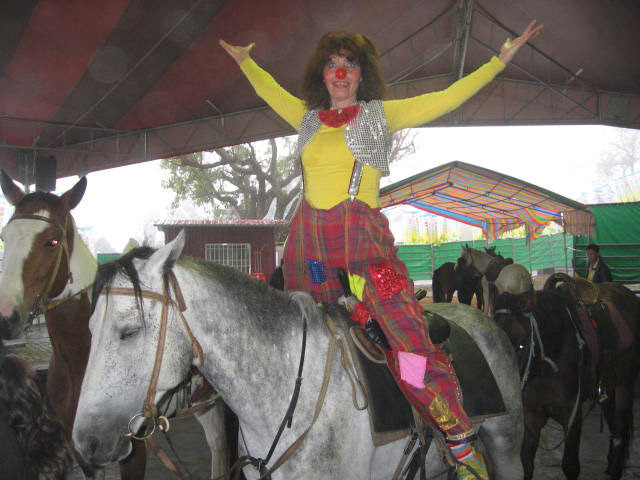 clown circus acrobat