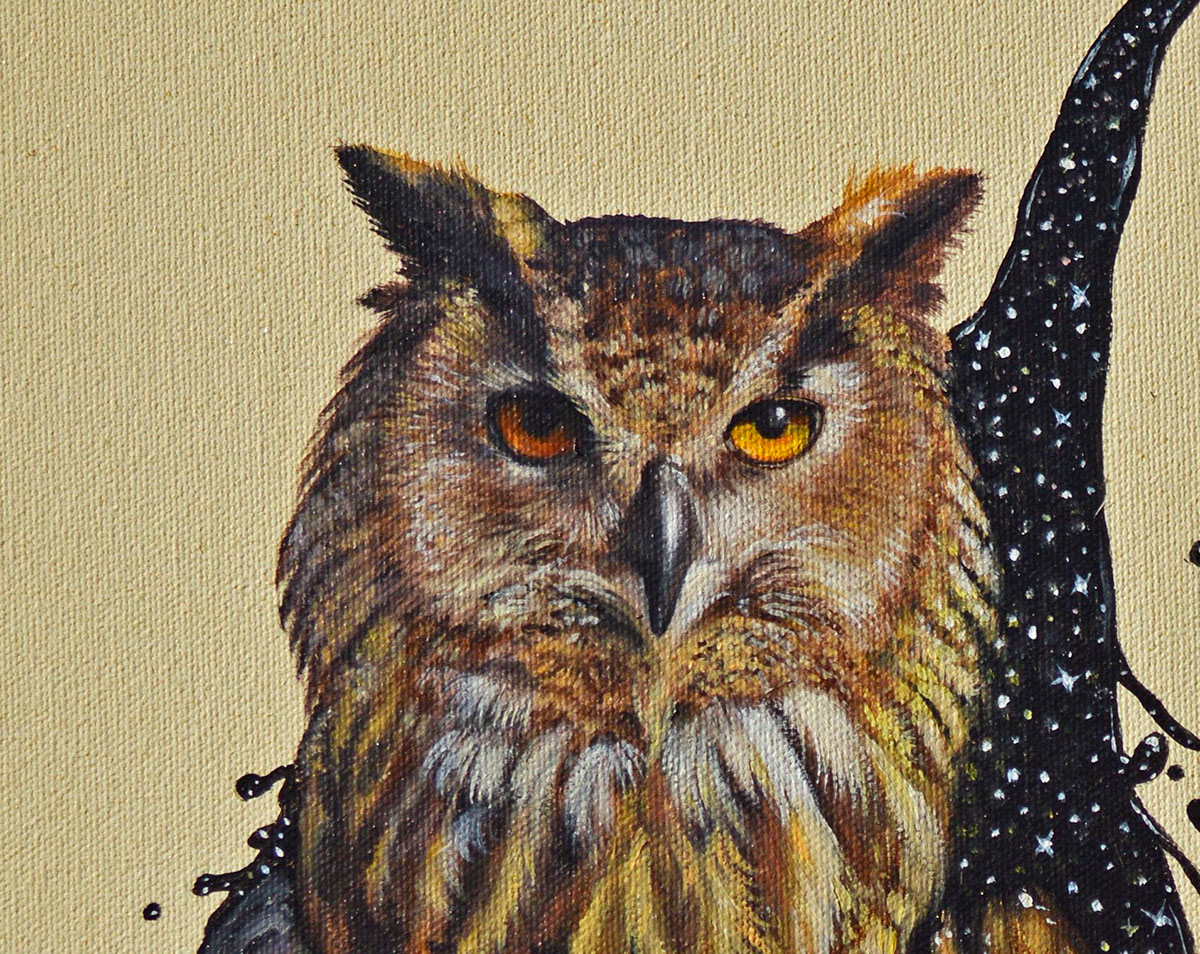 owl Coffee stars moon