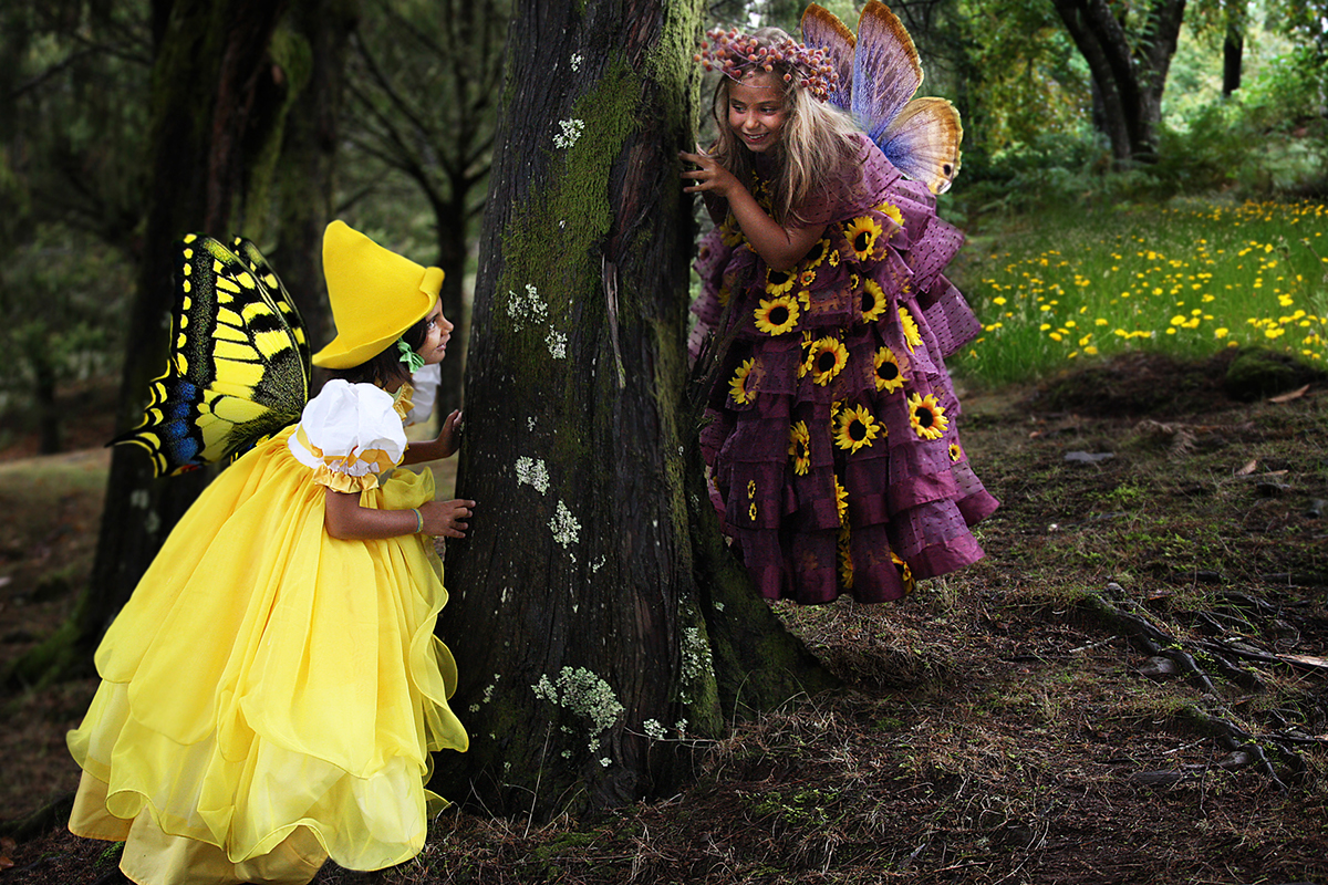 chidren fairy faries beauty forest calendar