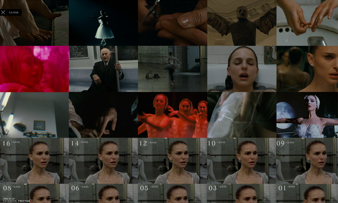 black swan Viral Campaign Flash Action Script video movie transitions interactive