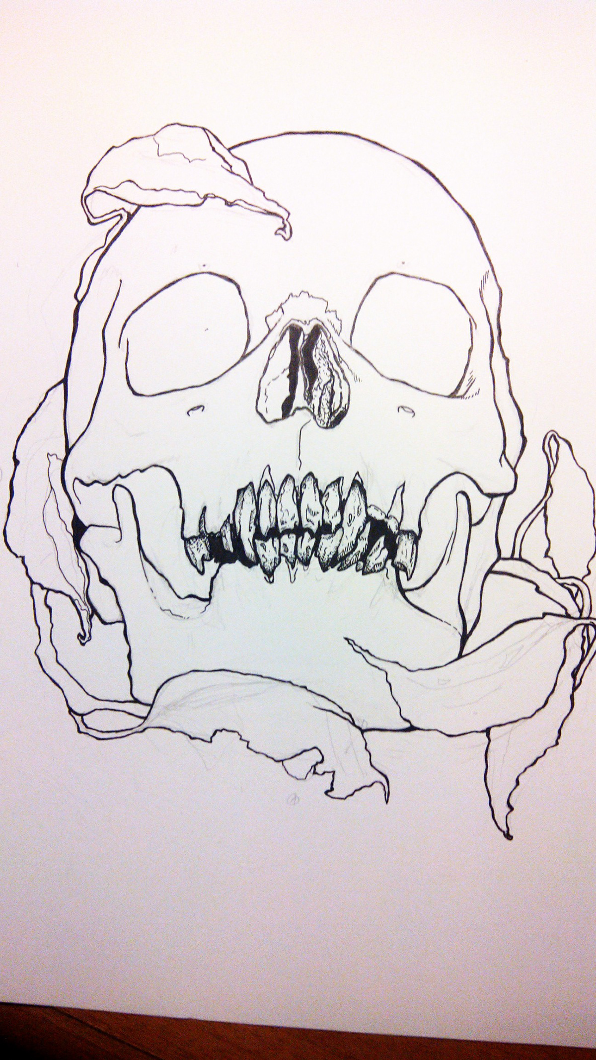 ink skull still life