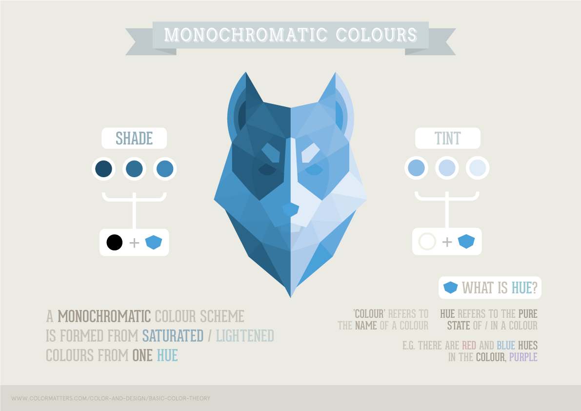 infographics poster animals colour geometric graphics colour theory Colour Wheel RMIT