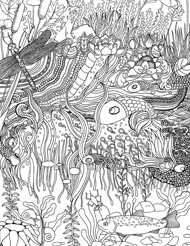 art Illustration doodle drawing pen ink publishing   doodling fish water editorial books concept line drawn
