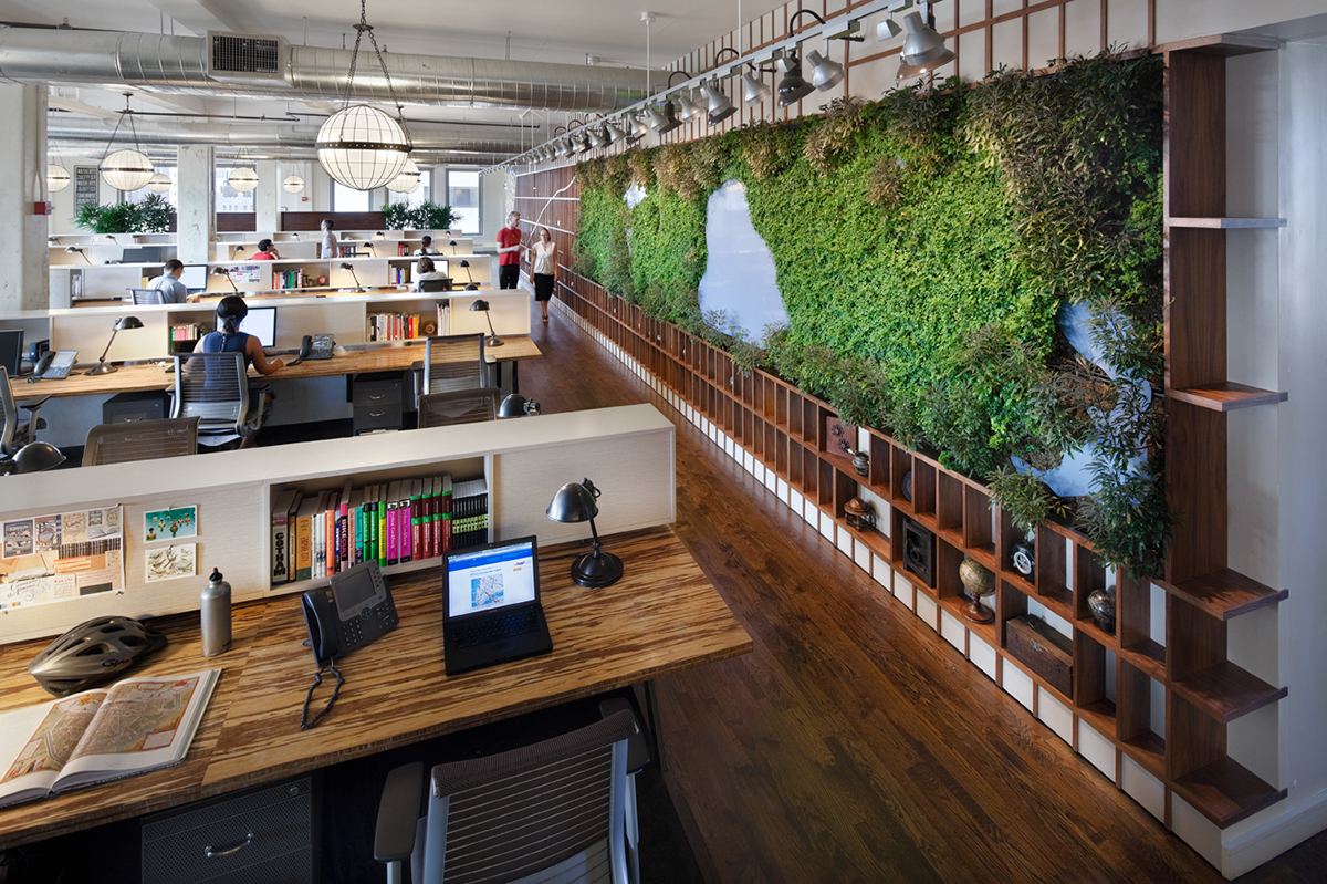 New York Office plant wall Living wall ltl architects