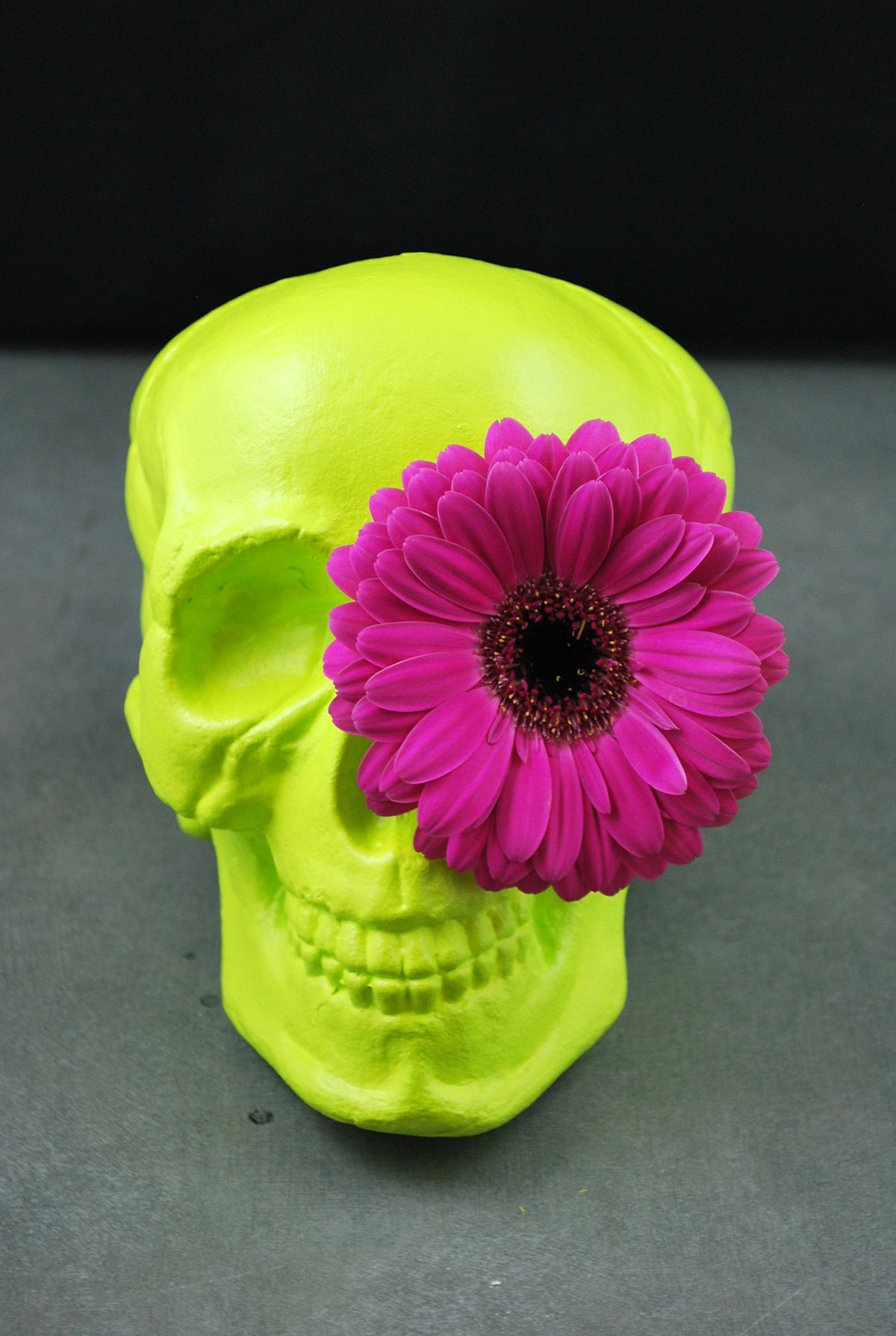 vases skull hairband flower flower vases skull vase hairband vase