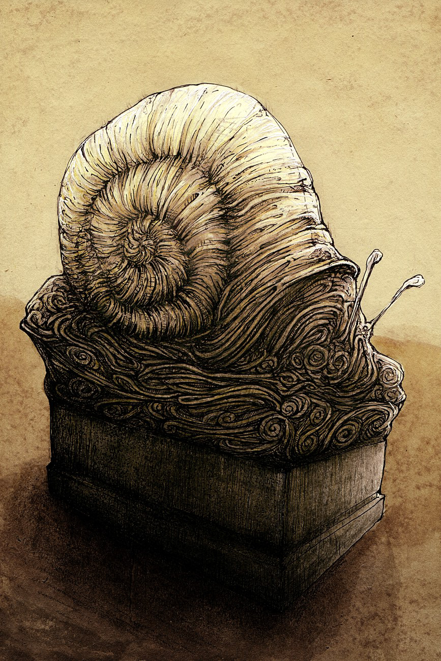 snail Squid ILLUSTRATION  magazine humidity illustrated stories