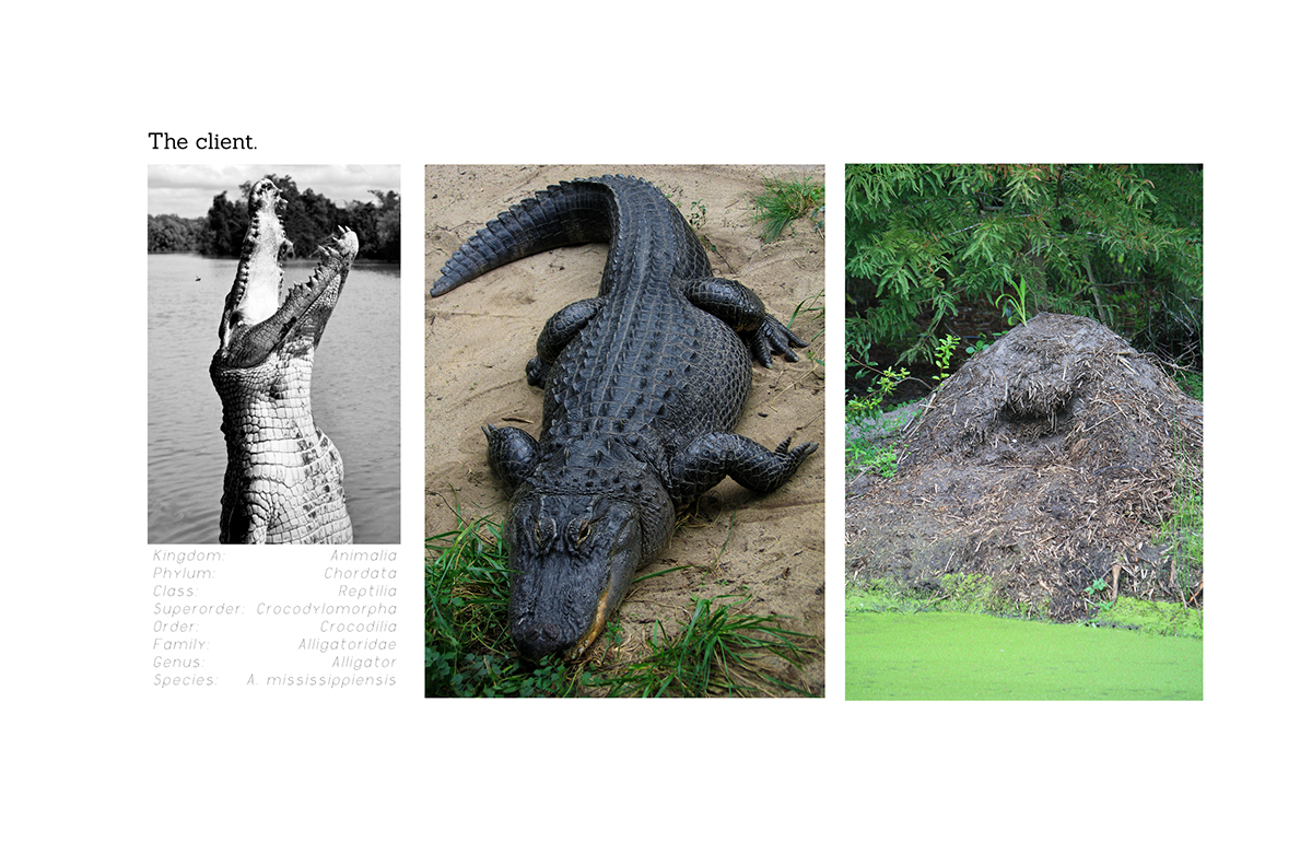 nature inspired design Secret lab Military alligator