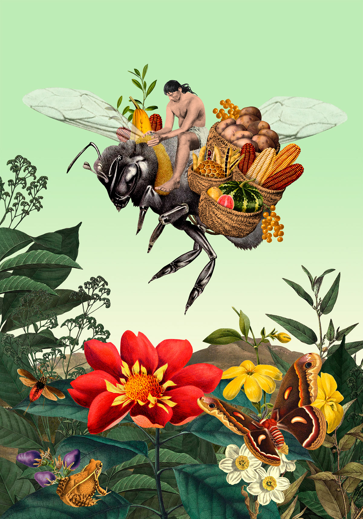 bees botanical collage colonization corn diet editorial ILLUSTRATION  indigenous magazine