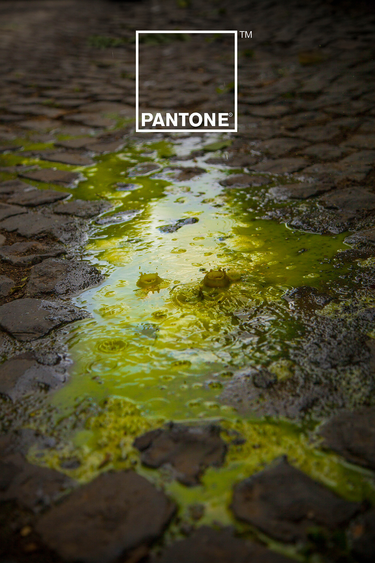 pantone  rain  water  ink  drop  light art color Street photo Rome wacom Ps25Under25