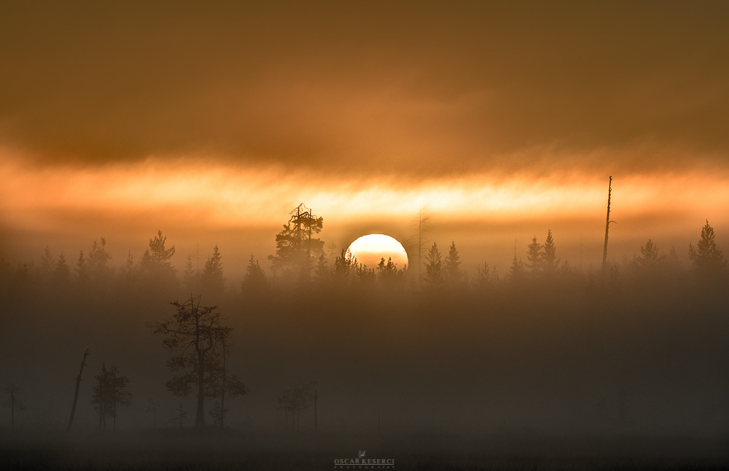 atmosphere fog foggy landscapes finland Coast forest oscar keserci Scandinavia Nikon seascapes mist