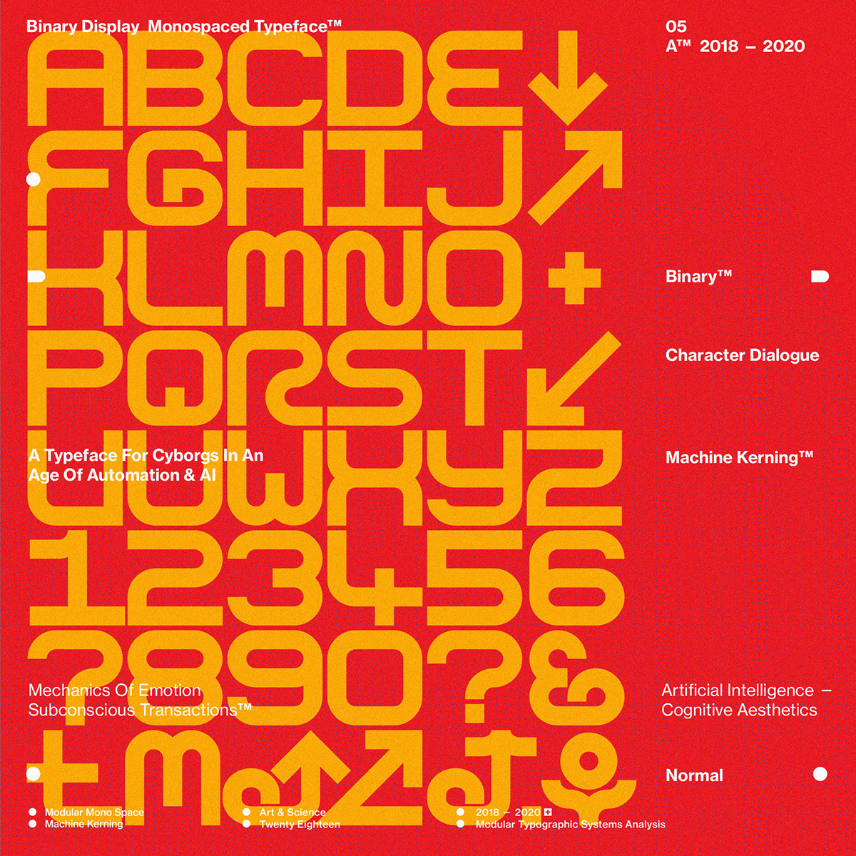 custom type lettering typographic display typography