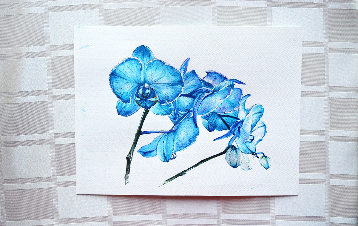 floral art delicate watercolour pen mixedmedia realistic blue White summer colours Flowers orchids