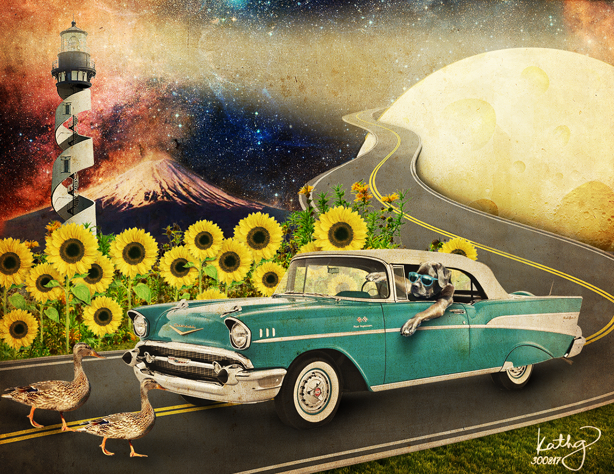 art surreal dog photoshop multiply moon cool Real Sunflowers design