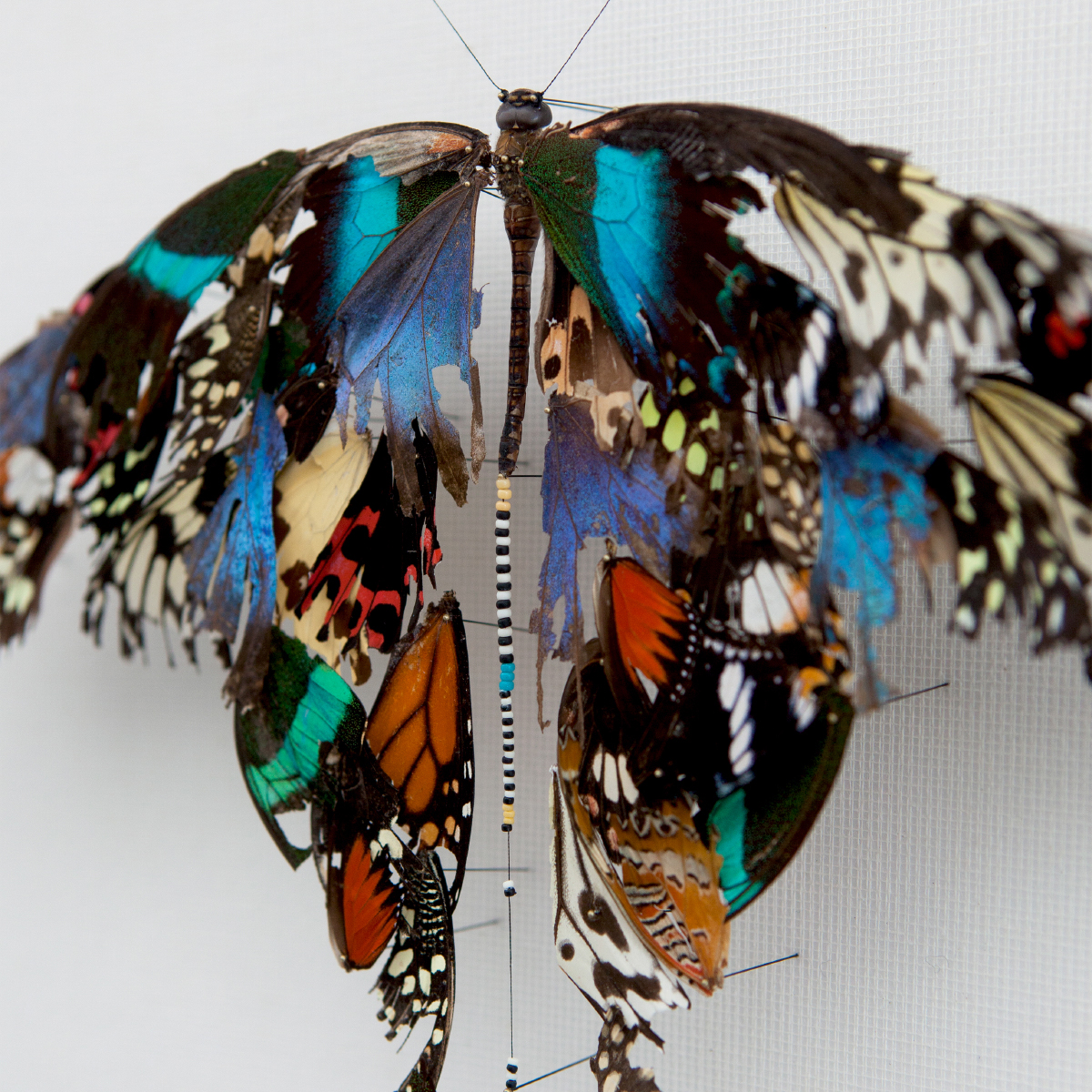 butterflies textile glass collage