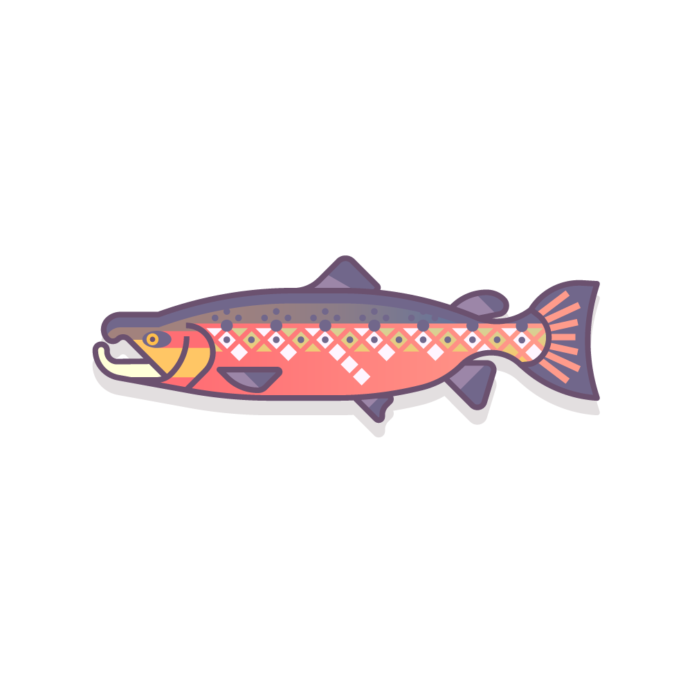 fish salmon ocean life trout anglerfish flying fish clown fish Tropical lake river