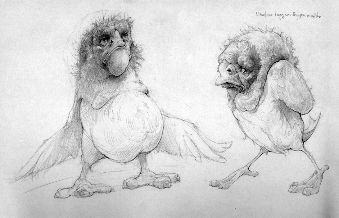 bird rare species Character fantasy animal animals