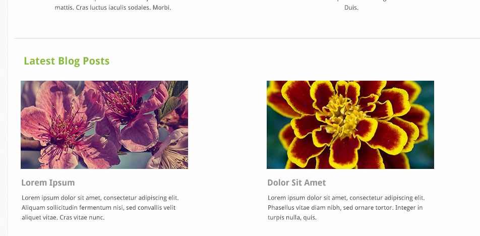 Web  design  web design template  kjf emeraldine Theme
