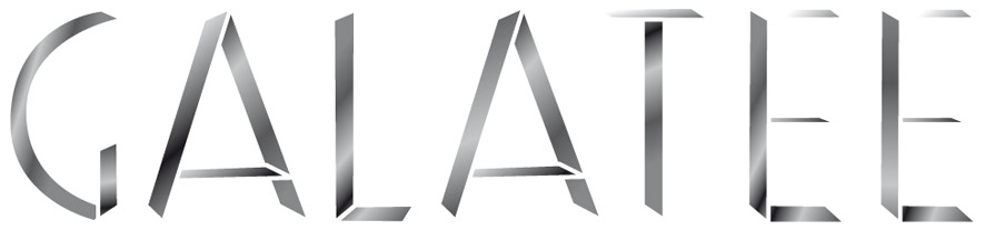Logotype logo design Brand Design