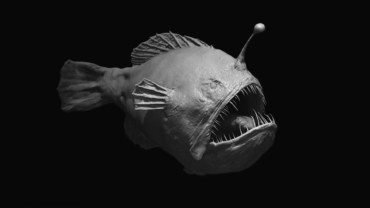 freehug 3D fish