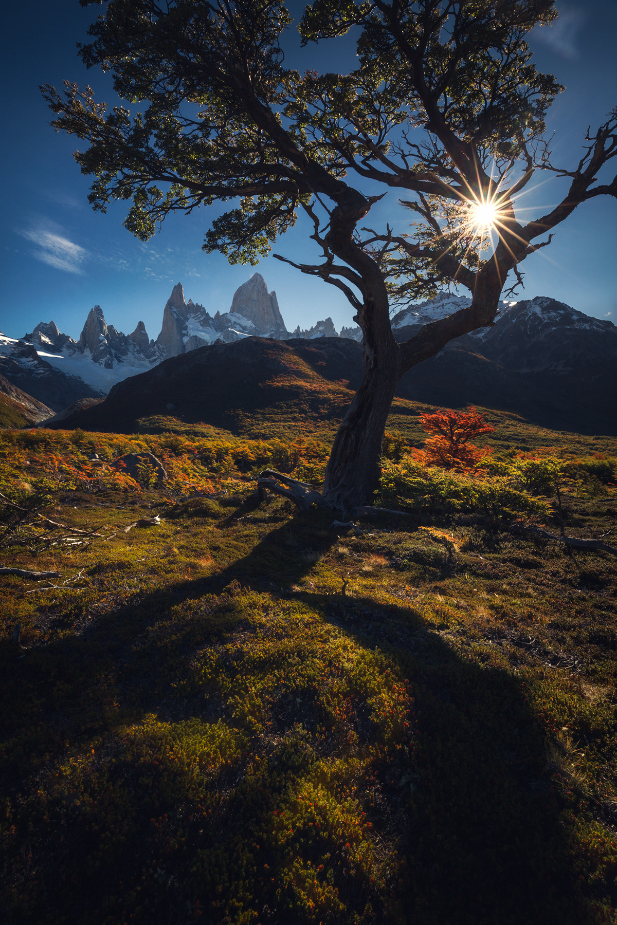 patagonia Mt. Fitz Roy Photography  Nature Landscape autumn trees mountain wilderness marco grassi