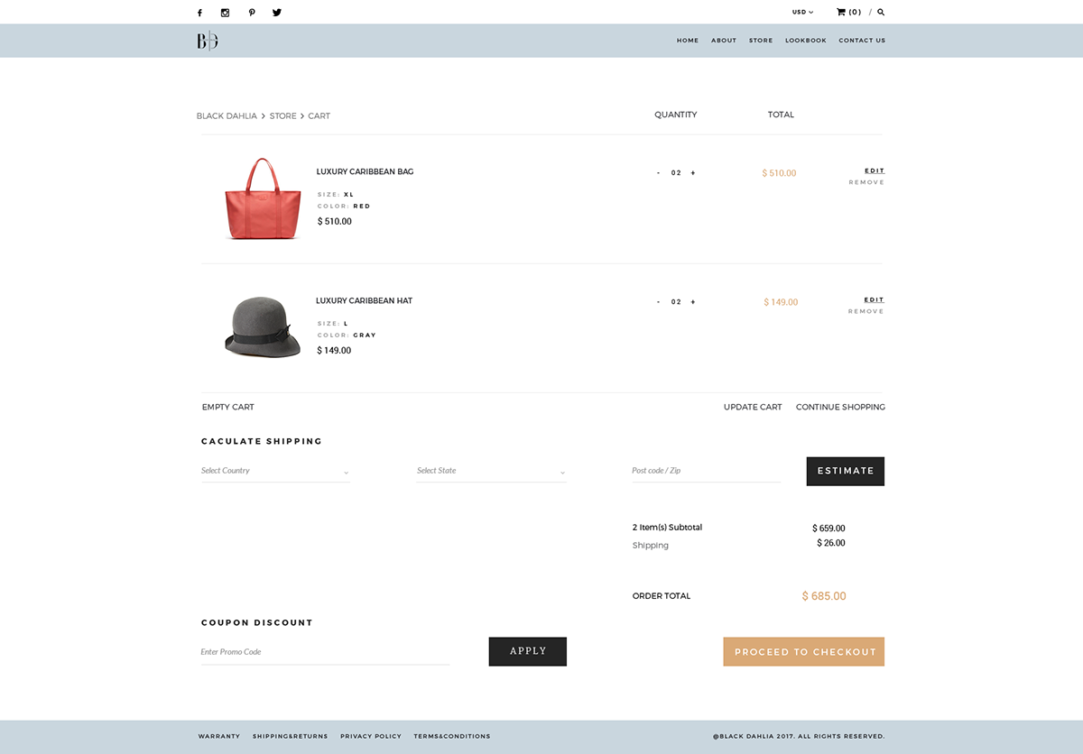 E COMMERCE store online Web design Website ux UI e-commerce graphic