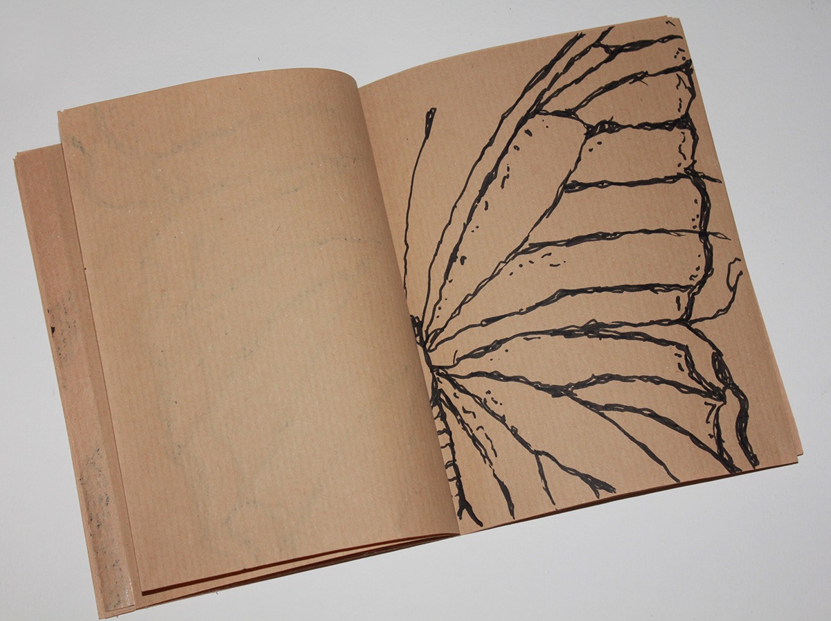 Insects left hand illustrations