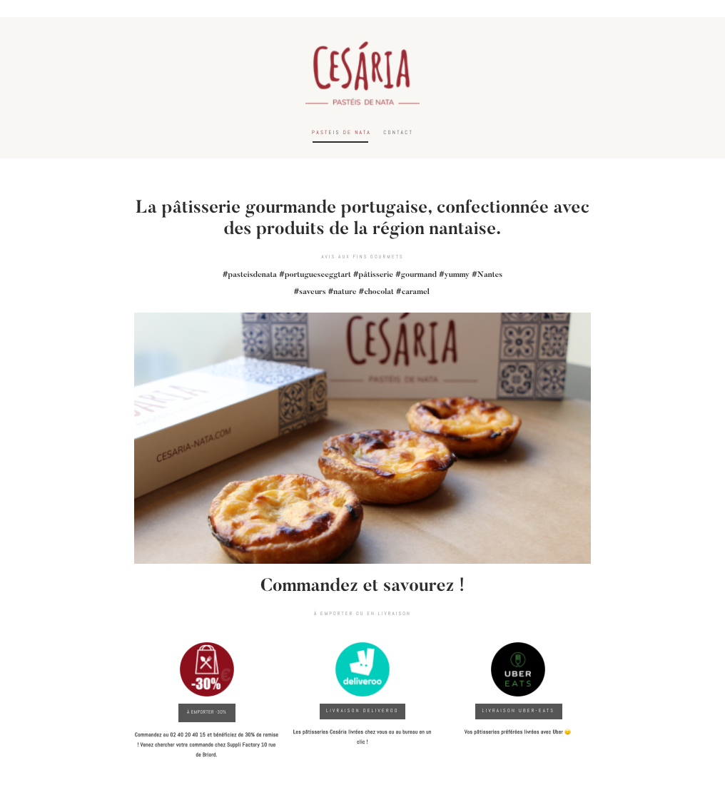 design Food  Illustrator Logotype Packaging pastry Photography  portuguese print Website