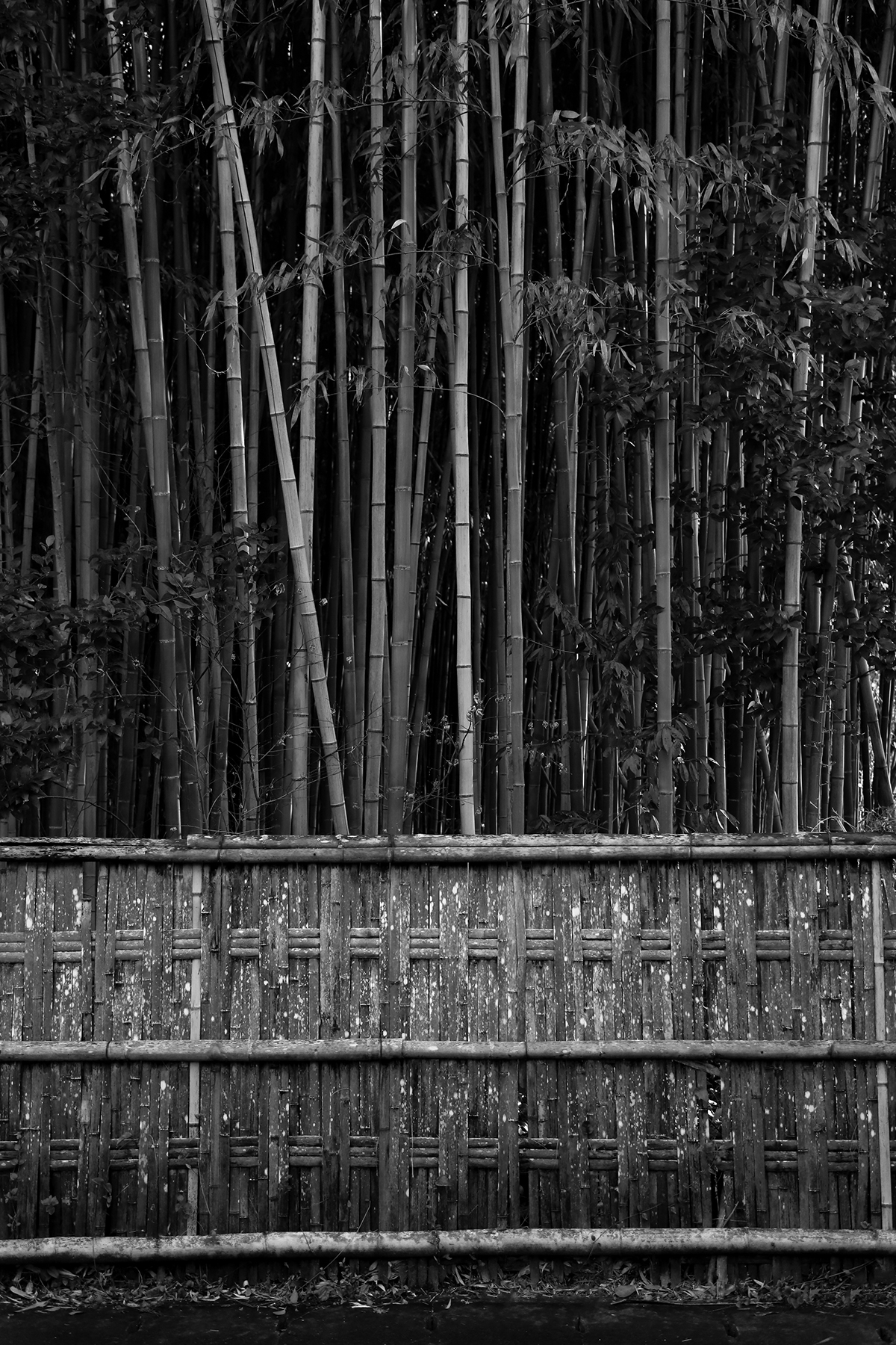 flat style Photography  japan minimalizm