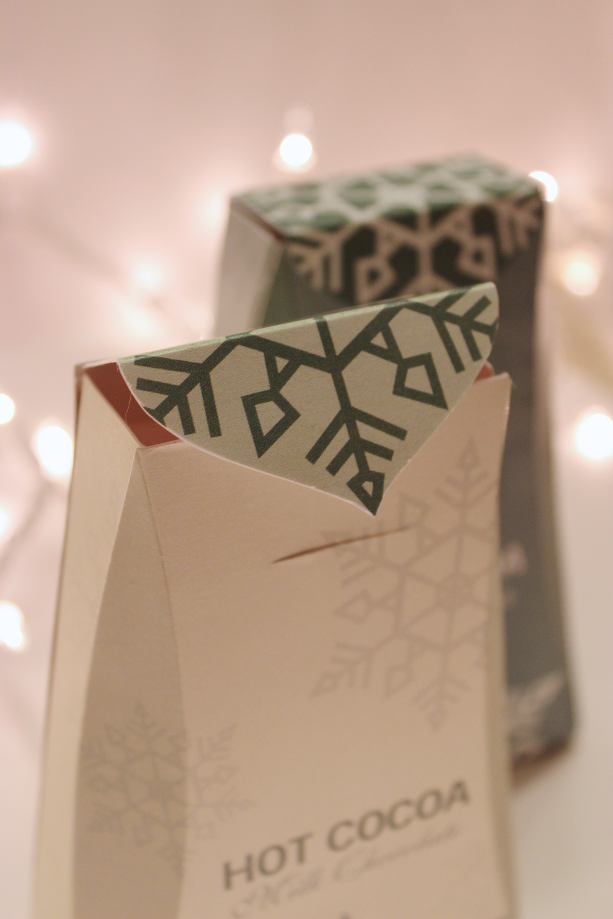 creative packaging Holiday design
