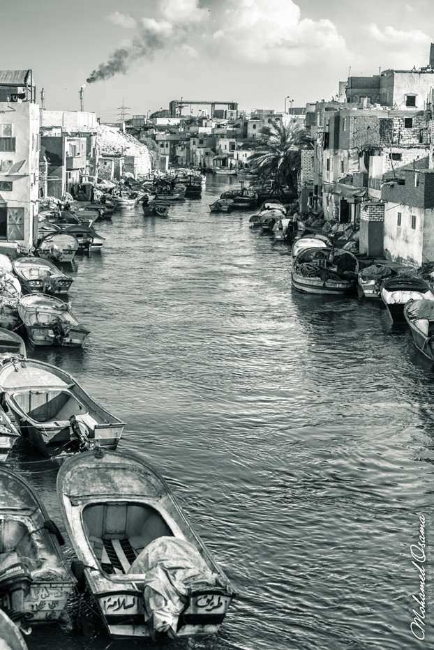 alexandria egypt MAX Venice fishing Fisherman industry Landscape sea Poverty poor midosemsem